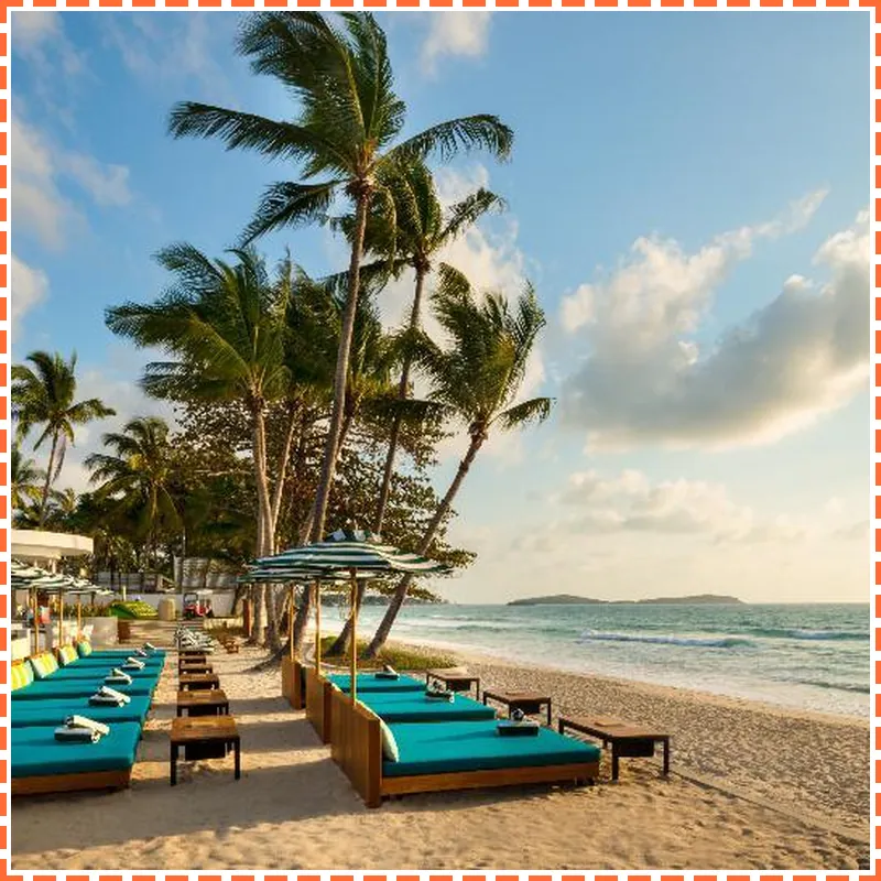 Avani Chaweng Samui Hotel & Beach Club hotel facilities