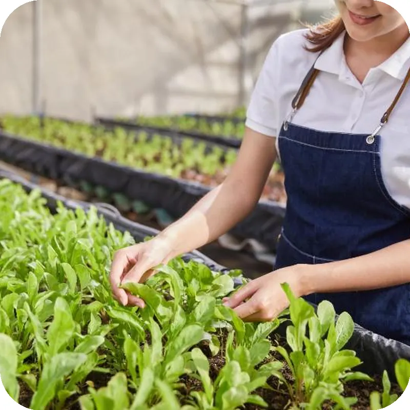 LA COCOTTE VILLA & FARM KHAO YAI hotel facilities