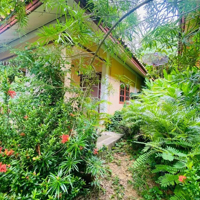 Cosy mandala beachfront bungalow 호텔 시설 이미지