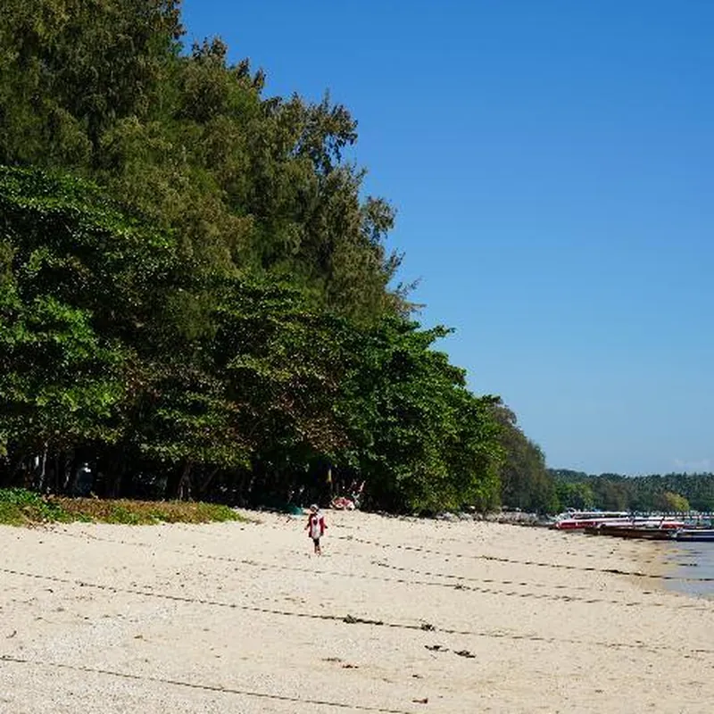Cosy mandala beachfront bungalow 호텔 시설 이미지