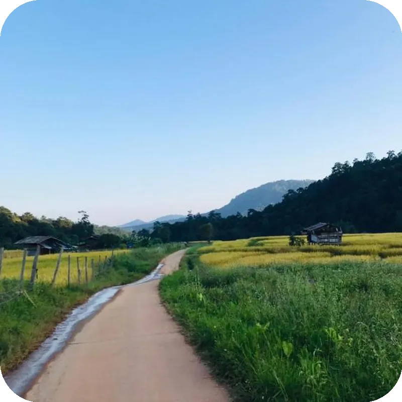 Motho Homestay Doi Inthanon 4-6 PAX 호텔 시설 이미지