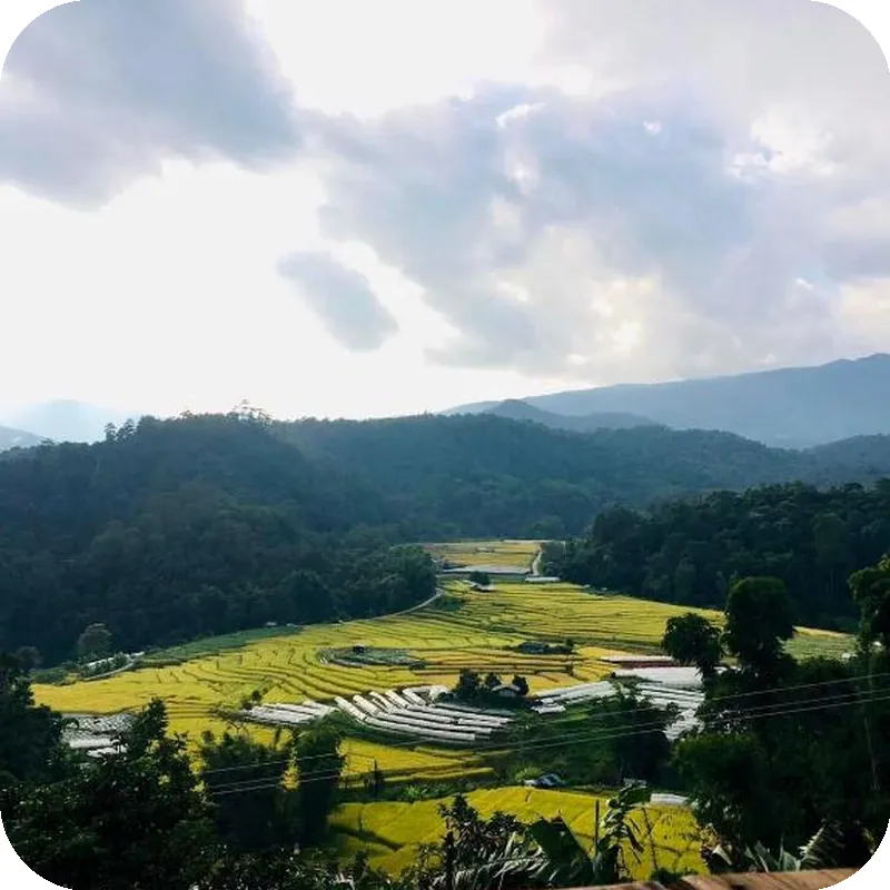 Motho Homestay Doi Inthanon 4-6 PAX 호텔 이미지