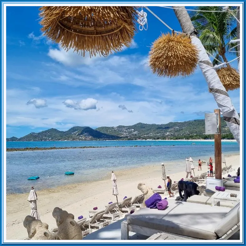 Elephant Beach Club & Resort Samui hotel facilities