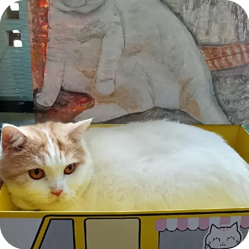 Double D Rooms & Cafe 호텔 이미지