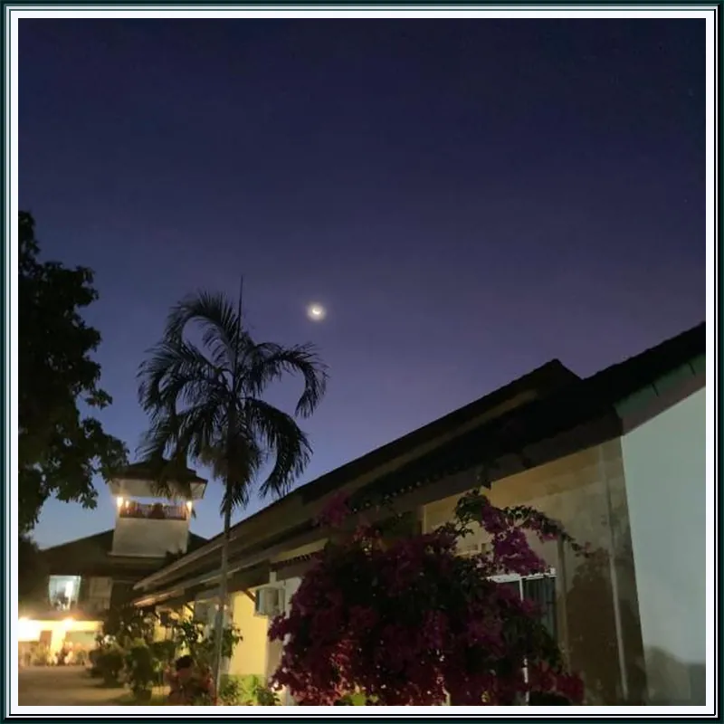 The Green Forest Resort hotel room