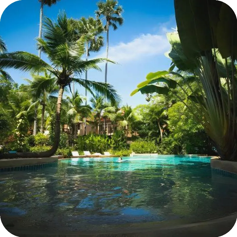 Rabbit Resort hotel facilities