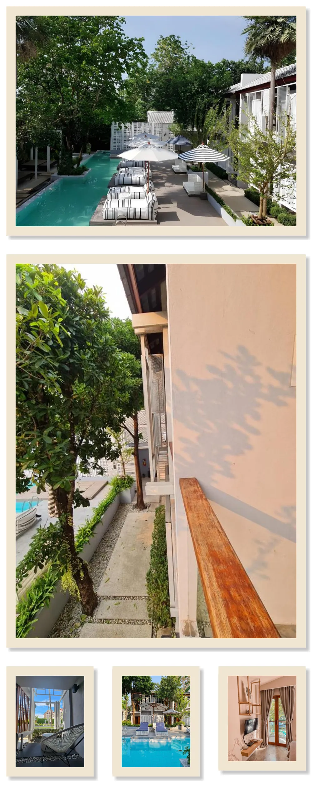 Treevana Club Chiangmai 호텔 기타 이미지