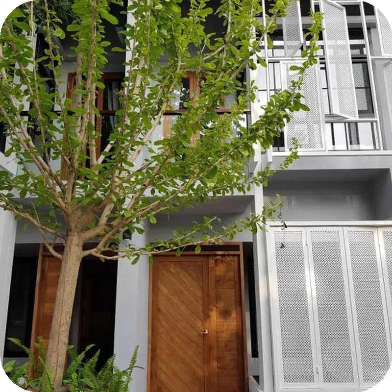 Treevana Club Chiangmai 호텔 이미지