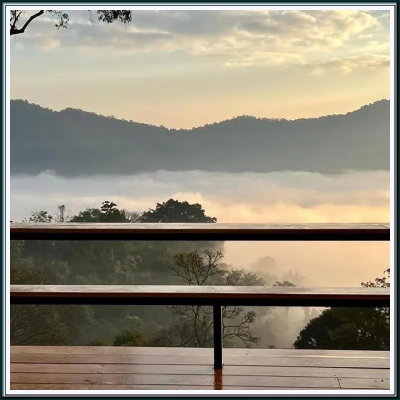 Morning Cloud Chiang Mai 호텔 시설 이미지