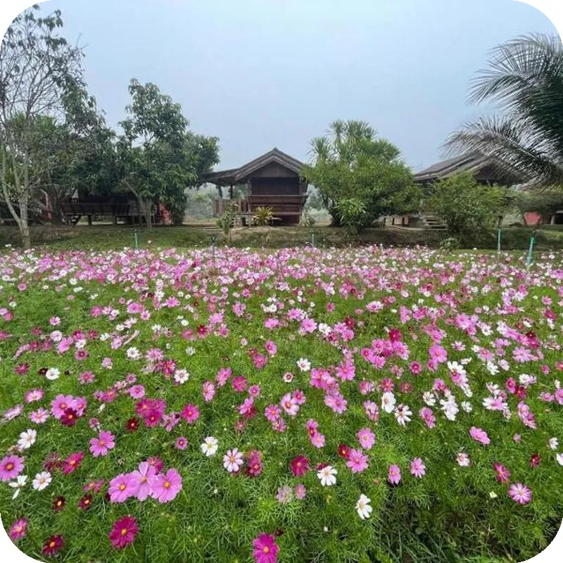 Nai Khun Khao Resort 호텔 시설 이미지