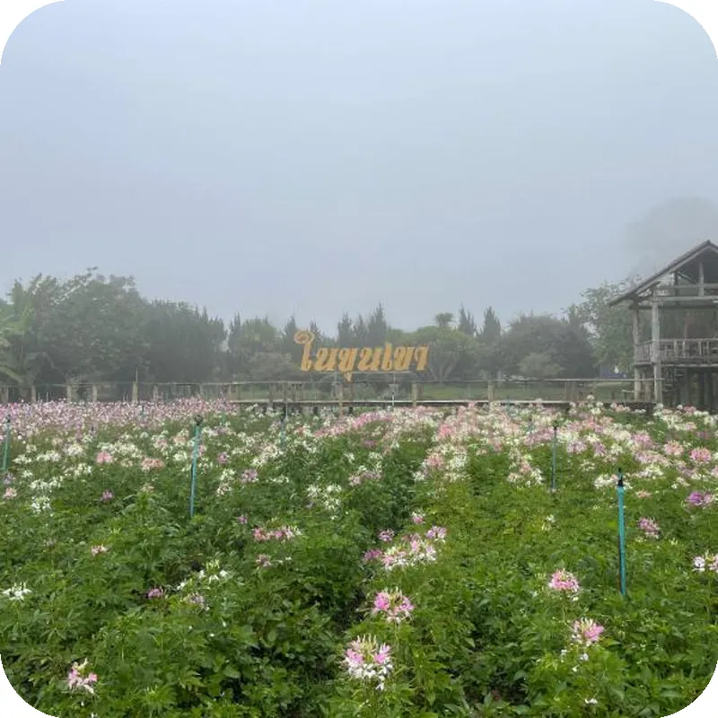 Nai Khun Khao Resort 호텔 시설 이미지