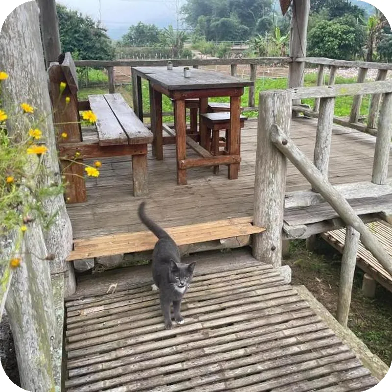 Nai Khun Khao Resort 호텔 이미지