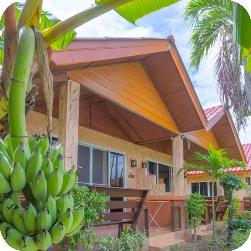 The Green Oasis Resort 호텔 시설 이미지