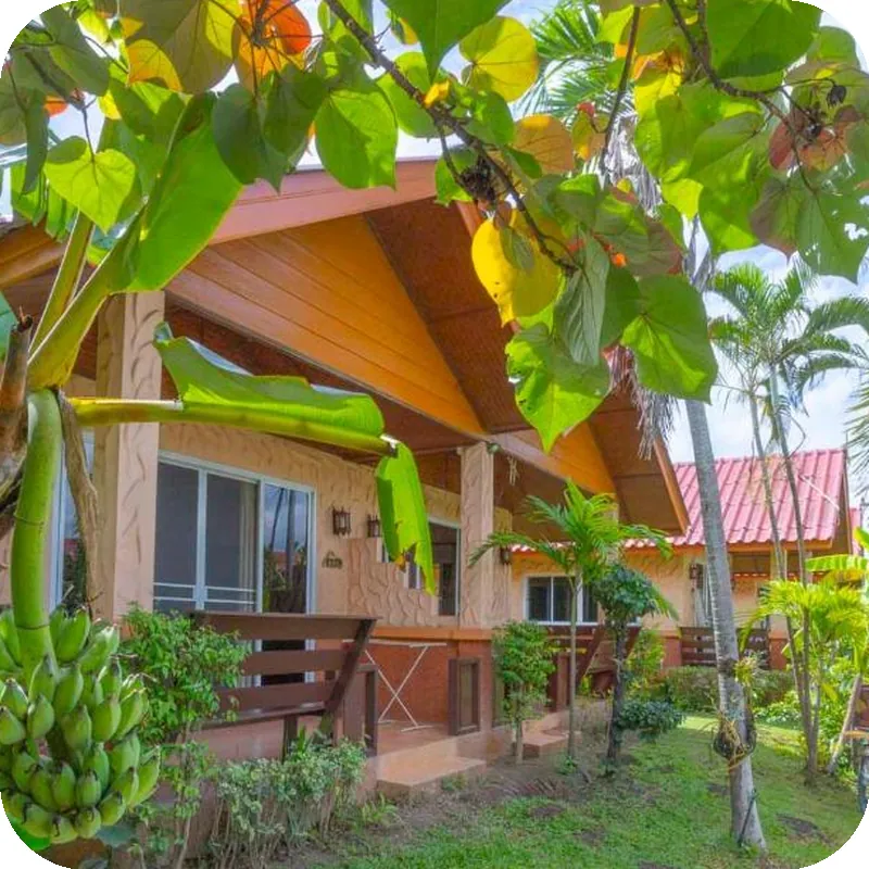 The Green Oasis Resort 호텔 내부 이미지
