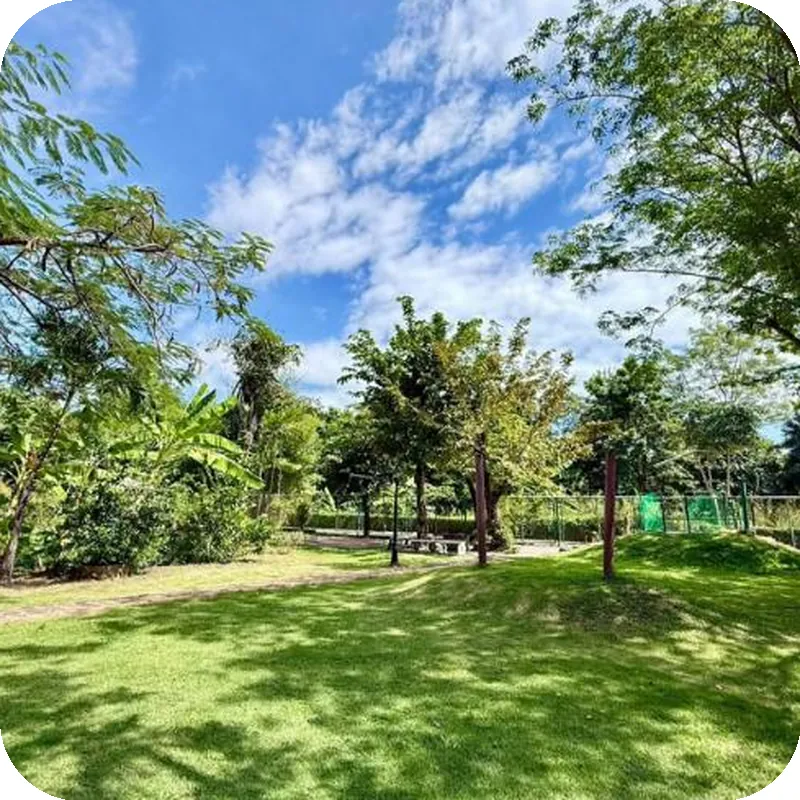 The Green Oasis Resort 호텔 이미지