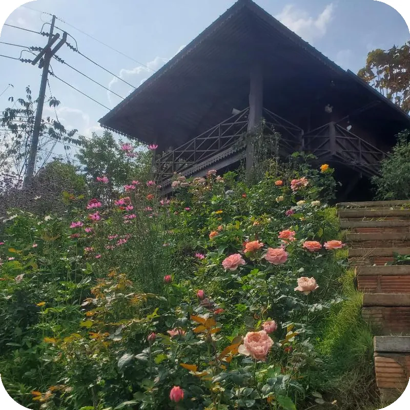 Camelliana Horizon Pongyang 호텔 시설 이미지