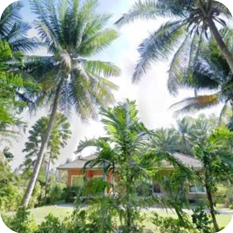 MaiKhao Residence 호텔 내부 이미지