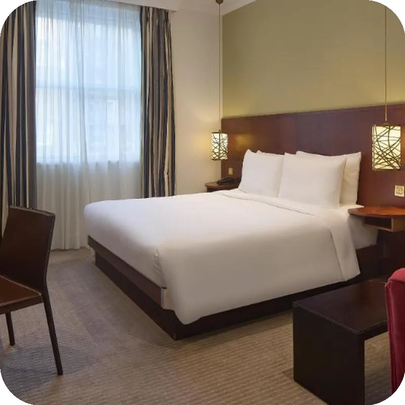 Radisson Blu Hotel, London South Kensington (formerly Vanderbilt) 호텔 내부 이미지