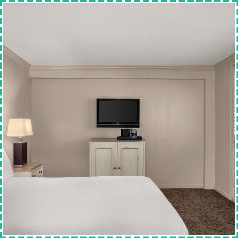 Dauphine Orleans Hotel hotel room