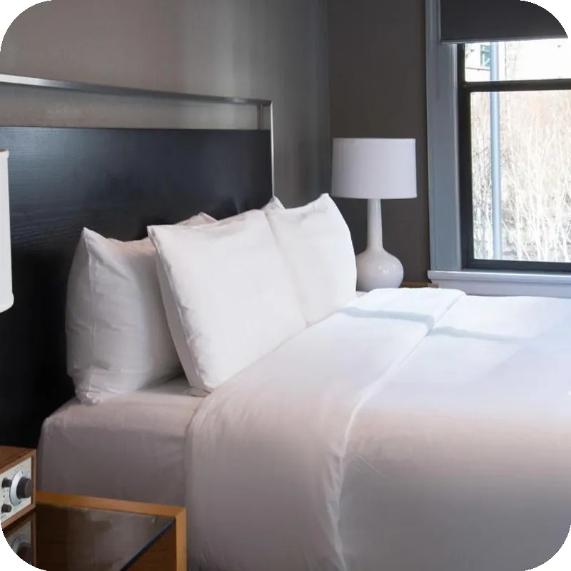 Hotel Max hotel room