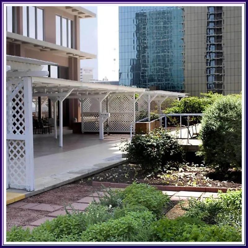 Fairmont Dallas hotel view