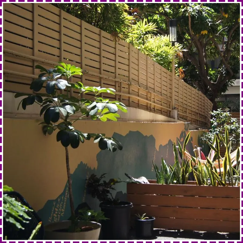 Polynesian Hostel Beach Club hotel facilities