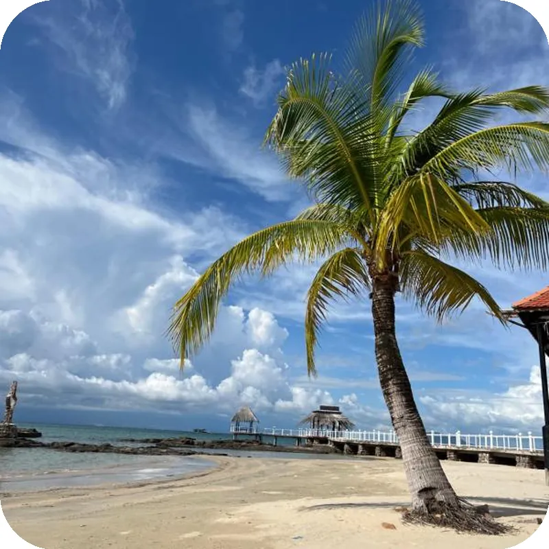 Gold Coast Resort 호텔 시설 이미지